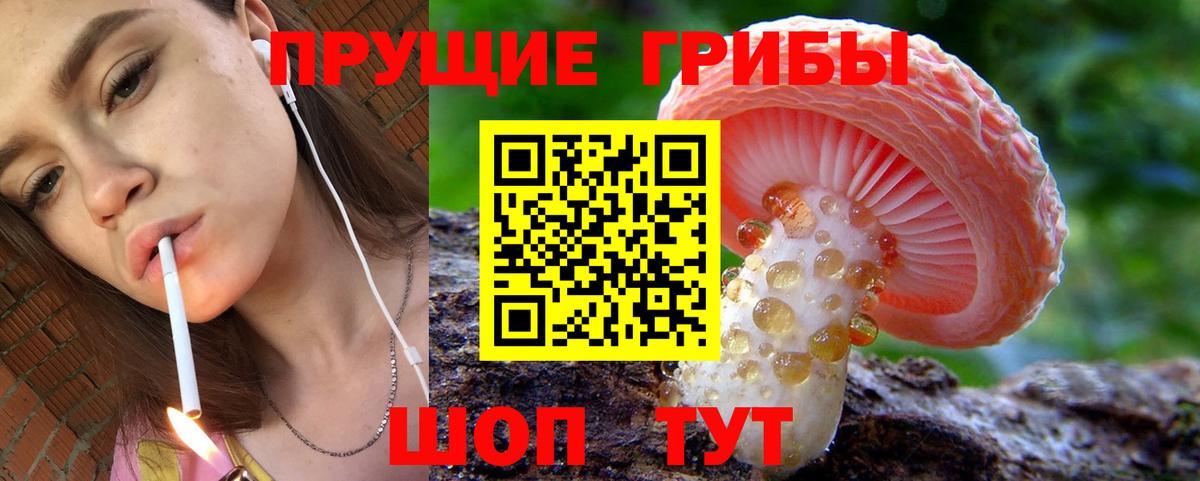 Псилоцибиновые грибы прущие грибы Сорочинск